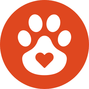 pet safe solutions