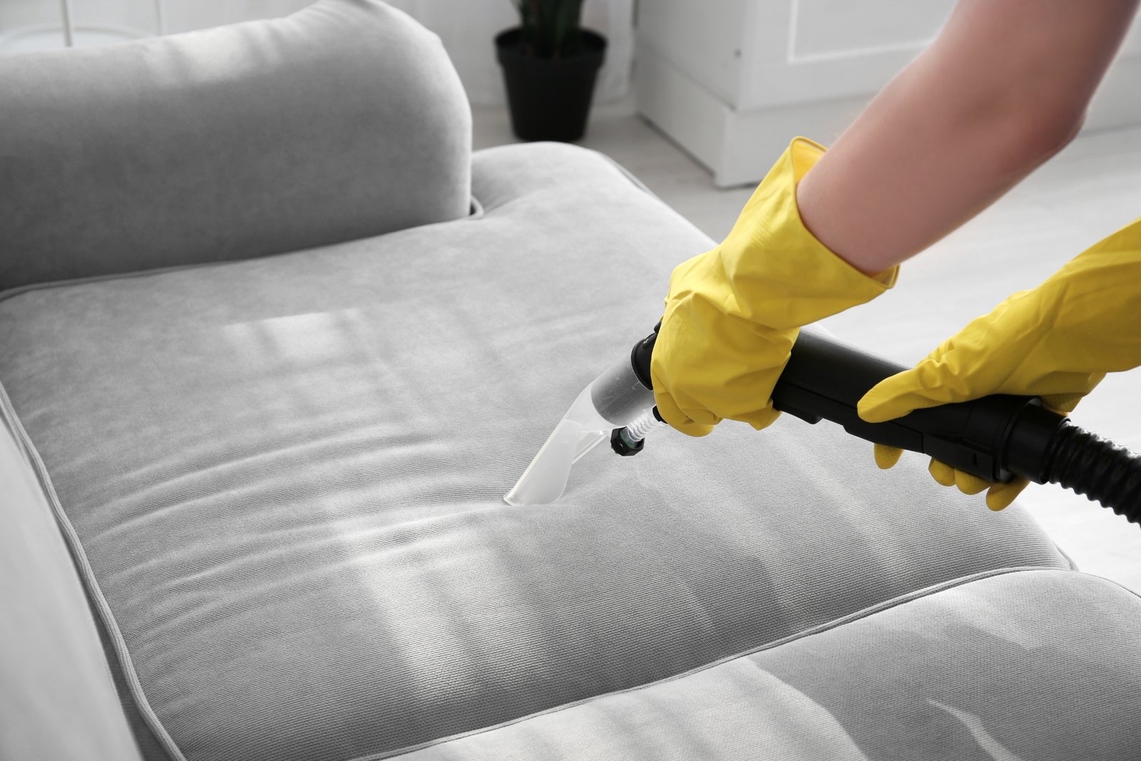 Groveland 4 upholstery cleaning