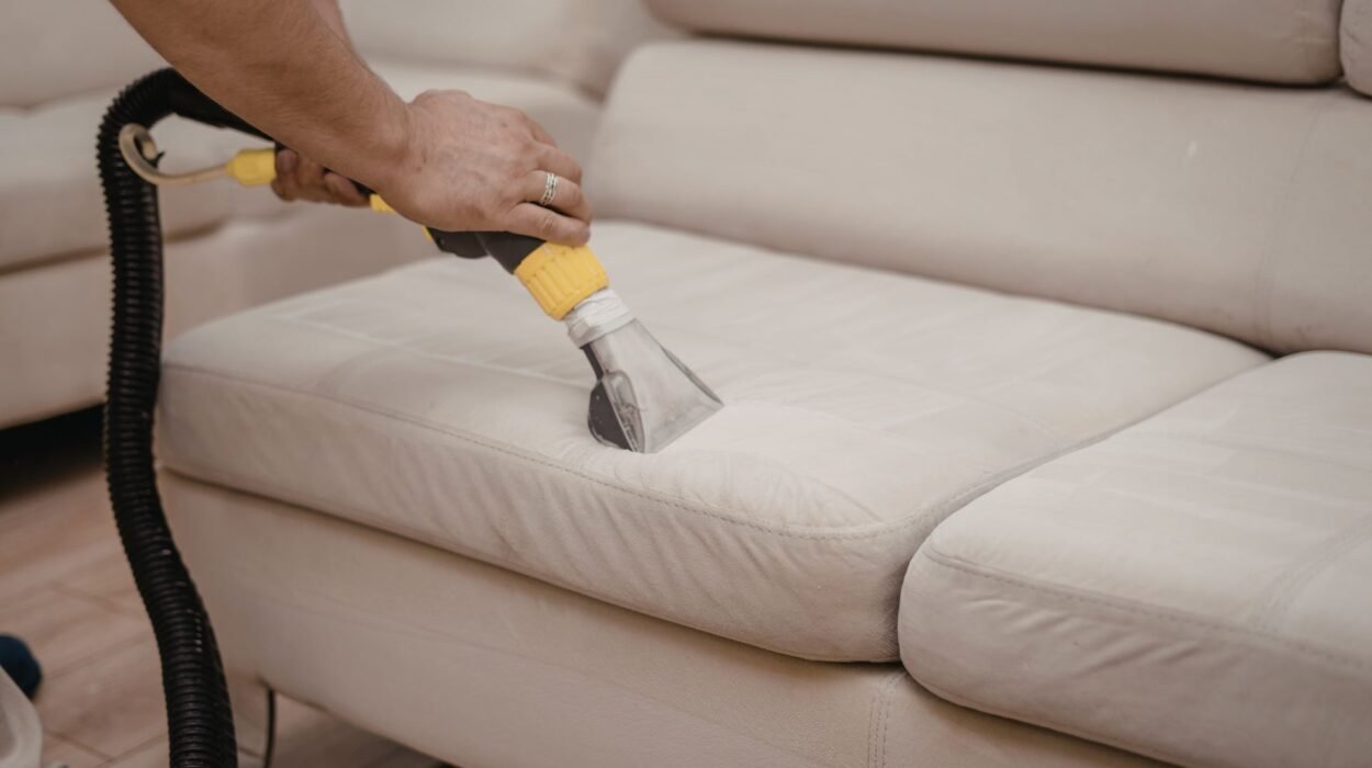 affordable upholstery cleaning options for south peabody ma residents