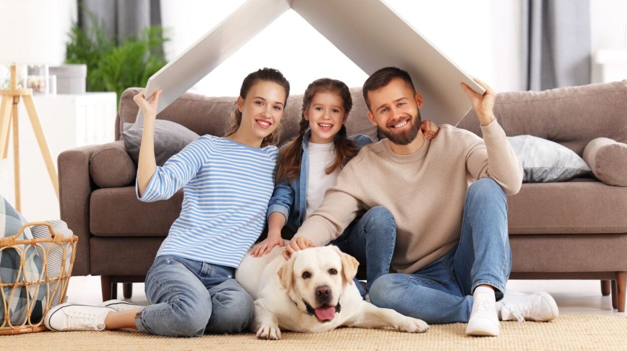 carpet cleaning for allergy relief in north shore ma homes