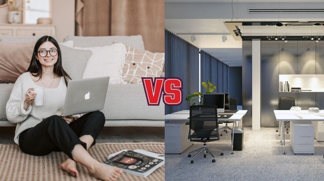 commercial vs residential carpet cleaning what rowley ma residents need to know