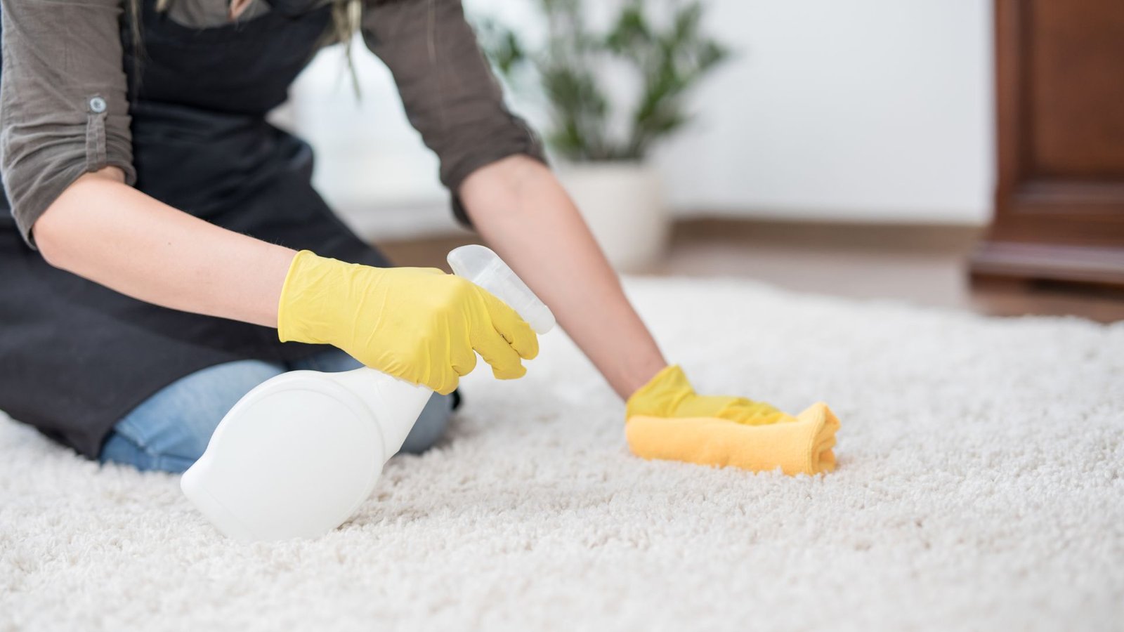 diy vs professional upholstery cleaning what topsfield ma residents should know