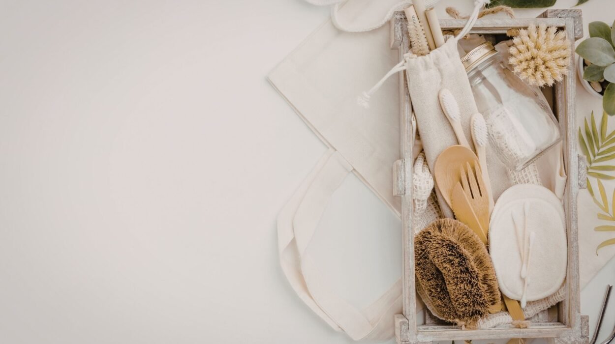 eco friendly carpet cleaning in newburyport ma why its essential for coastal homes