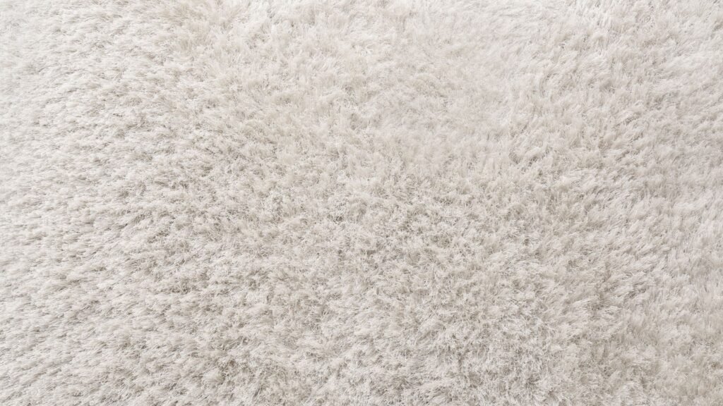 essential tips every lynn ma homeowner should know for carpet cleaning