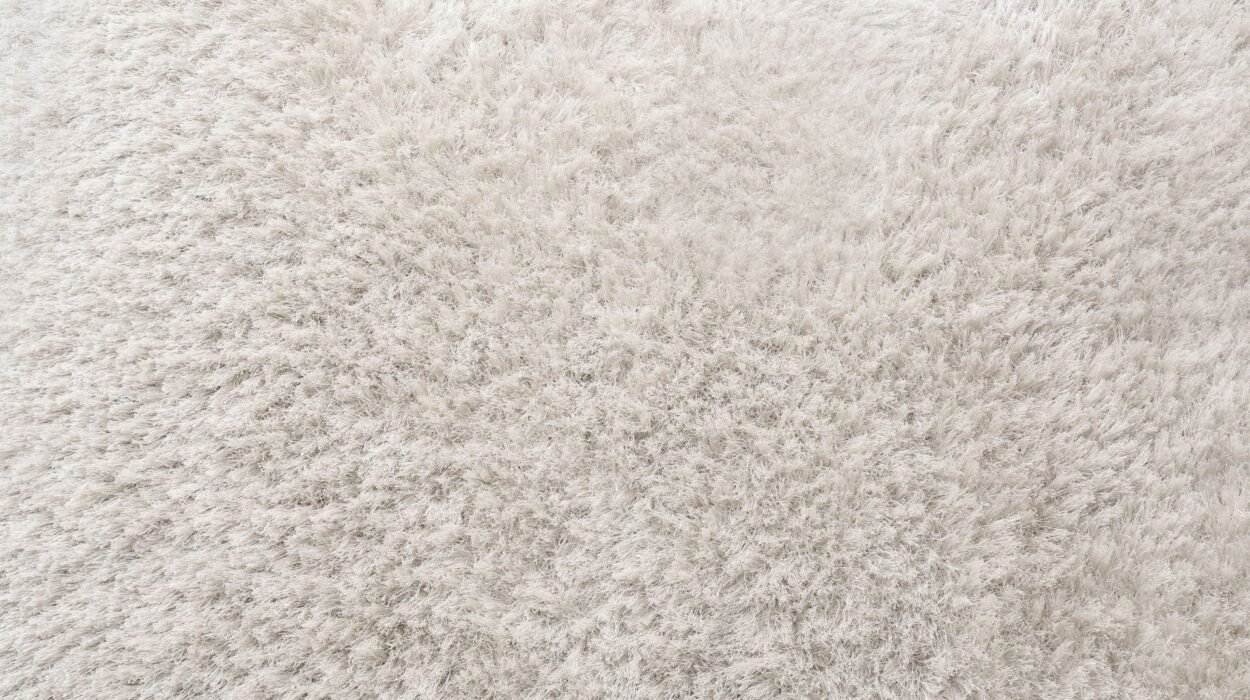 essential tips every lynn ma homeowner should know for carpet cleaning