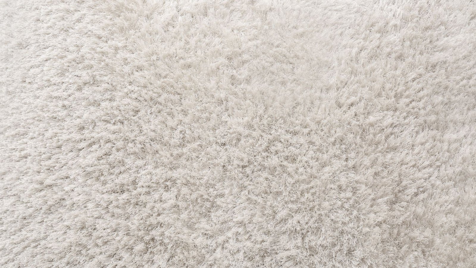 essential tips every lynn ma homeowner should know for carpet cleaning