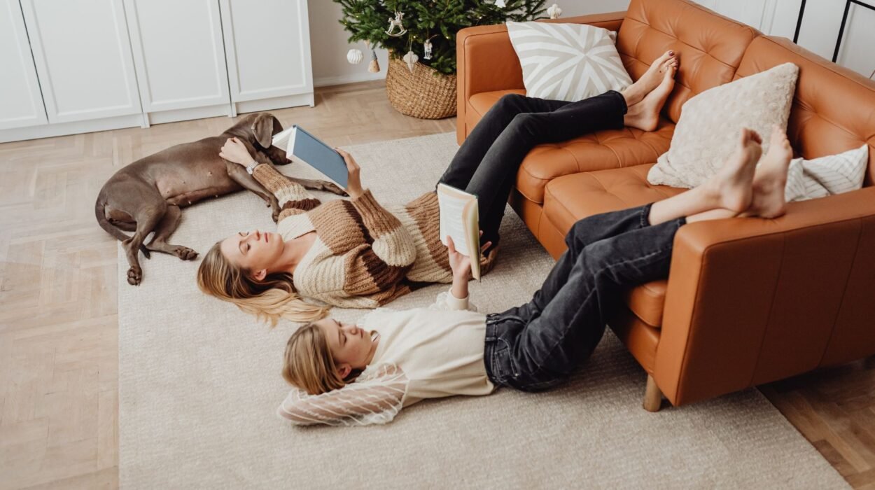 how often should you clean carpets in marblehead ma homes