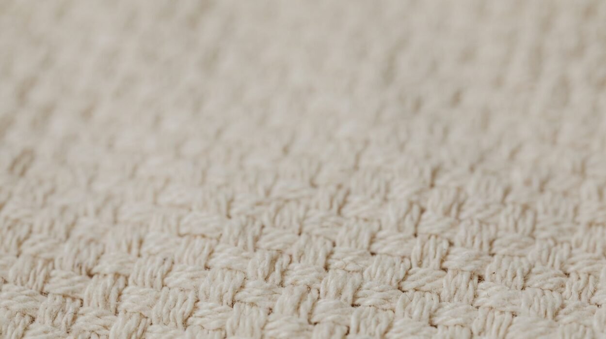 upholstery fabric care local services in sunnyside ma