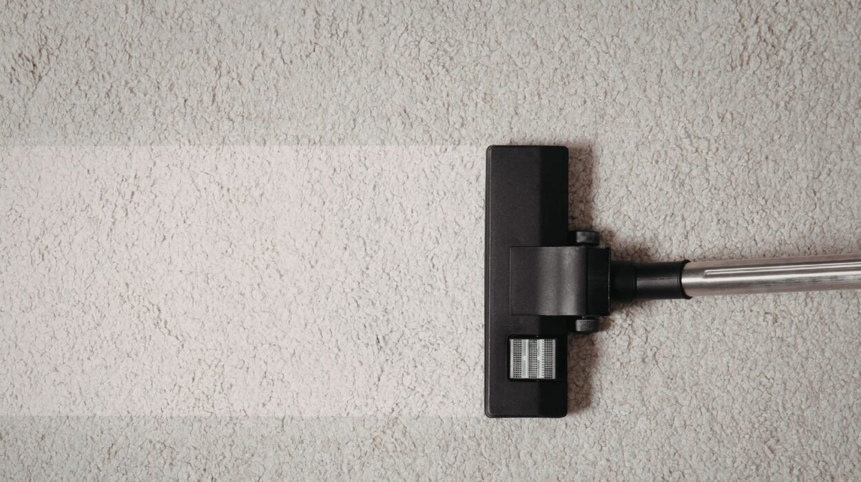 what to expect from professional commercial carpet cleaning in lynn ma