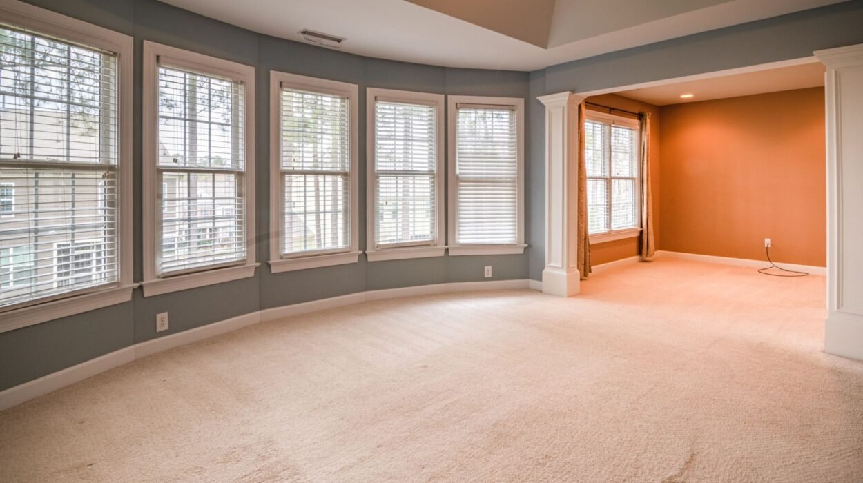 your questions answered residential carpet cleaning in georgetown ma